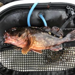 神戸ミッドワインド