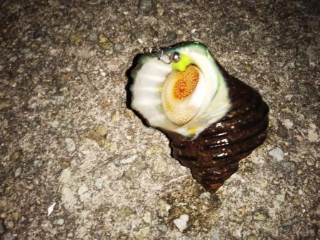 ライトゲーム、?