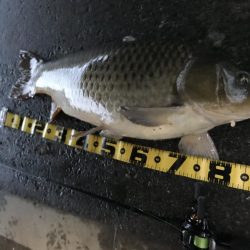 びっくりした。。