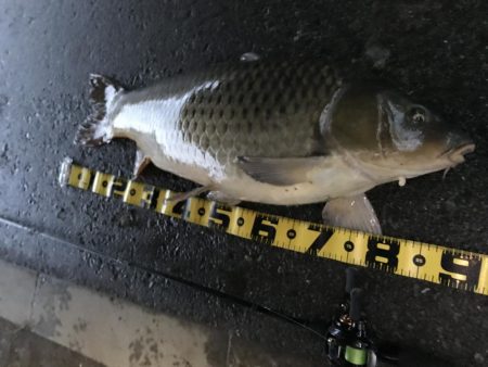 びっくりした。。