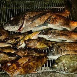 何か釣れるといいなぁって感じで4種目