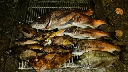 何か釣れるといいなぁって感じで4種目