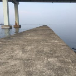 南西風と濁りが吉