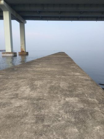 南西風と濁りが吉