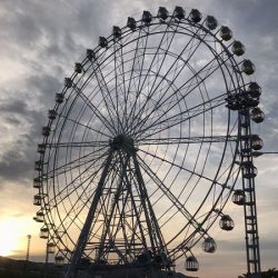 アジ探せず・・・