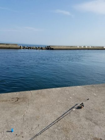 豆アジ不発！まさかのツバス！