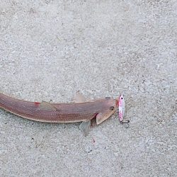 また逢う日まで～