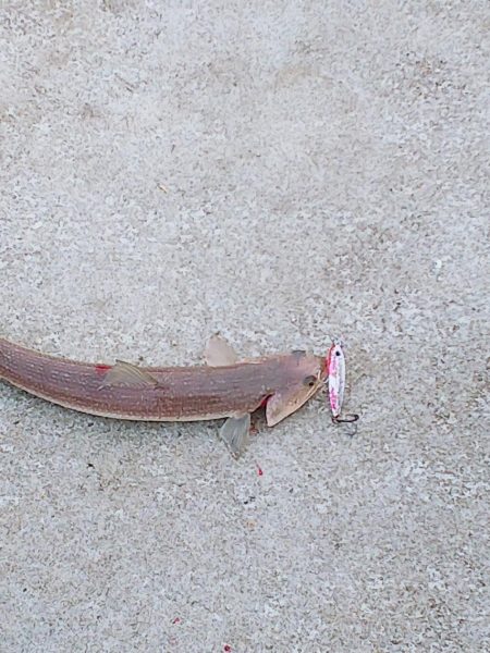 また逢う日まで～