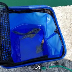 ミニミニだらけ！