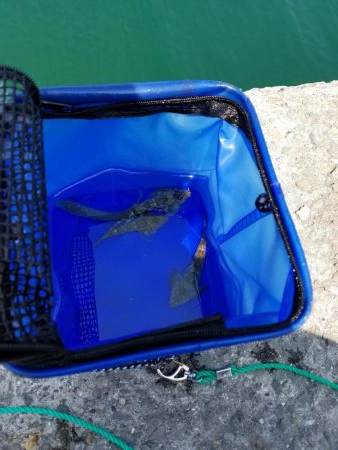 ミニミニだらけ！