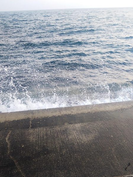 春イカエギング