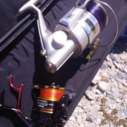 海洋釣堀で大ヒラマサ狙うも、ファミリーフィッシング