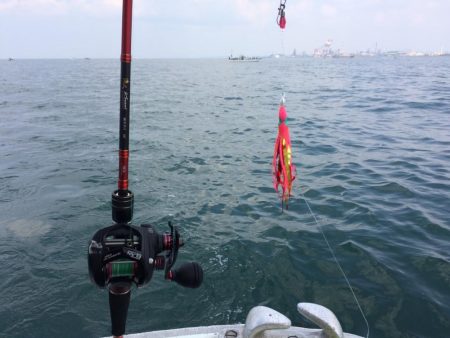 明石タコ   釣果