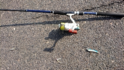 やっと釣れたぁ！