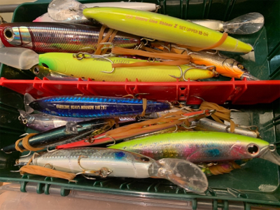 回遊ツバスとシーバスチェイスは。。。