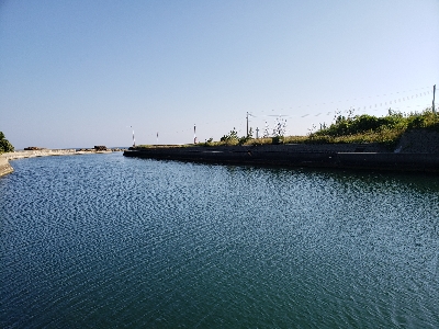 やはりあかんかった