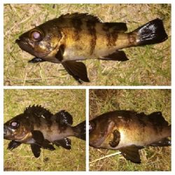 ソルトルアーマン1800〜2145