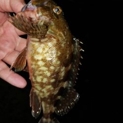 ジグヘッドに‼️