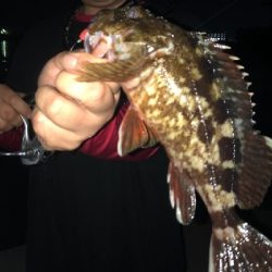 アーバンサイドゲーム‼️