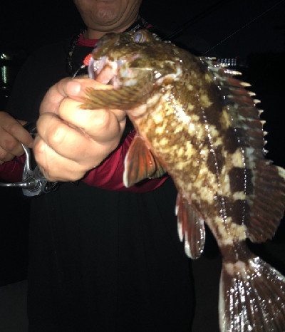 アーバンサイドゲーム‼️