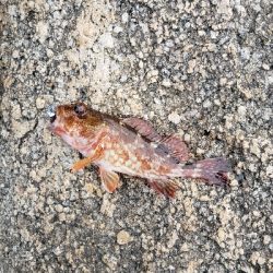 どんよりした天気の中