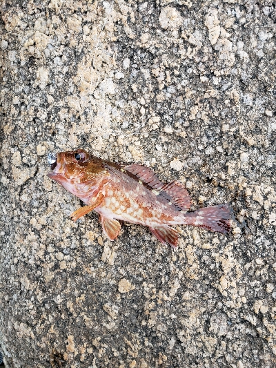 どんよりした天気の中