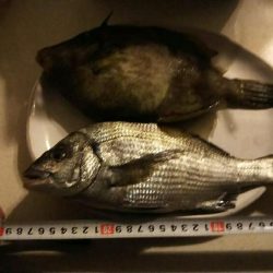 梅雨の合間の釣行