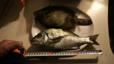 梅雨の合間の釣行