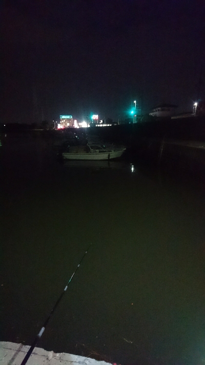 仕事帰りにハゼの夜釣り