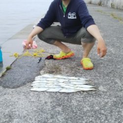 ツバス祭継続中