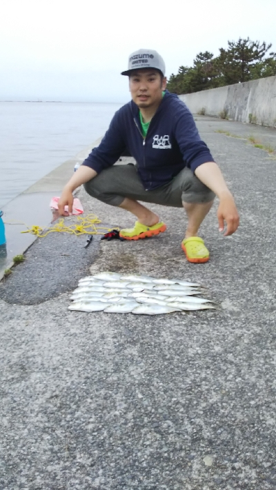 ツバス祭継続中