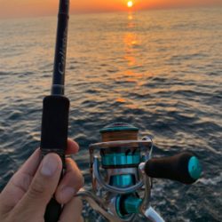 大型アオリイカ釣果！！