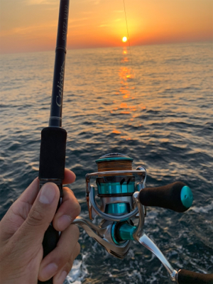 大型アオリイカ釣果！！