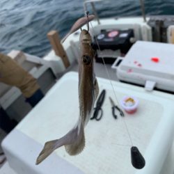 ソウハチカレイシーズンイン!