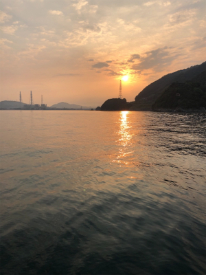 タチウオ二匹とメバル達