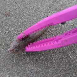 キスを求めて二日目