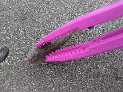 キスを求めて二日目