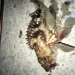 ガングロゲーム