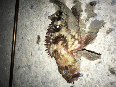 ガングロゲーム