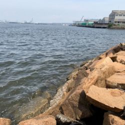 ショアジギ不発からのチニング