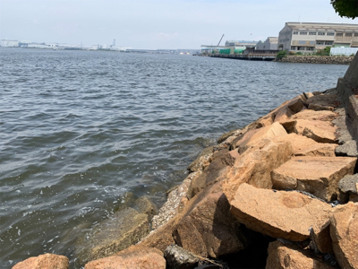 ショアジギ不発からのチニング