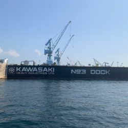 ツバスシーバスまたツバス♫