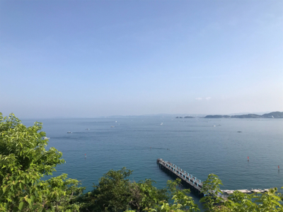 初タチウオです!