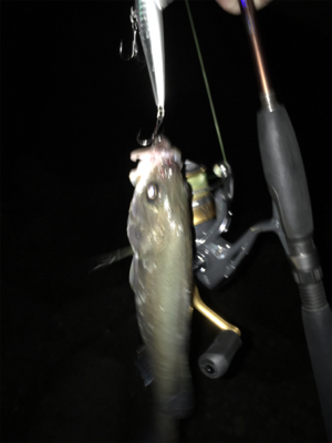 雨上がりアゲアゲ