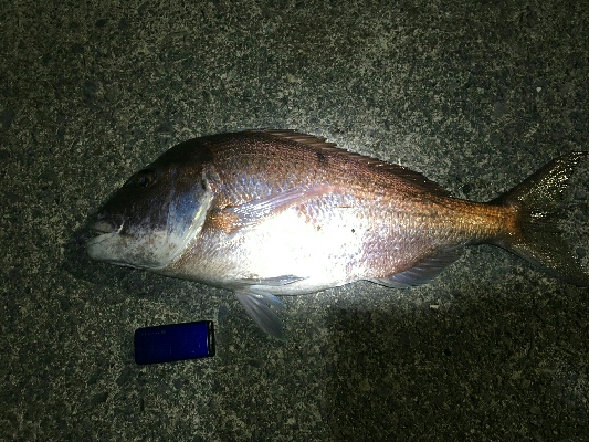 門前河口にある漁港