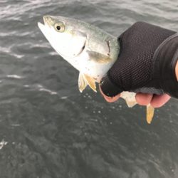 どこまでやってもツバス