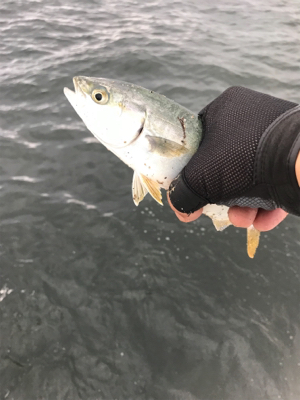 どこまでやってもツバス