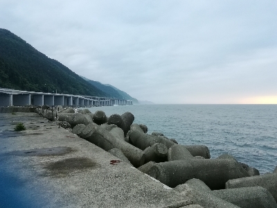 やっとアジに会えました