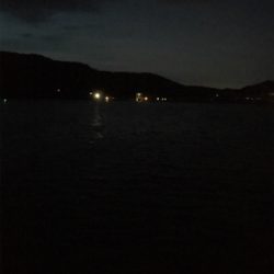 久しぶりのご馳走です