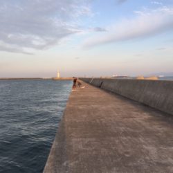 タチウオチェック